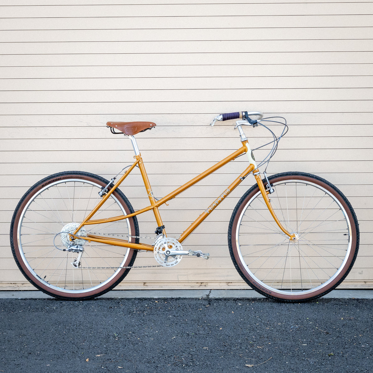 Complete Bike - Platypus 2026 - Presale 10/14 @ noon Pacfic