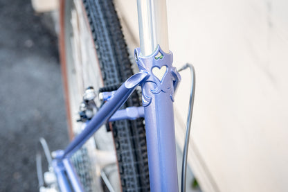 Complete Bike - Platypus 2026 - Presale 10/14 @ noon Pacfic