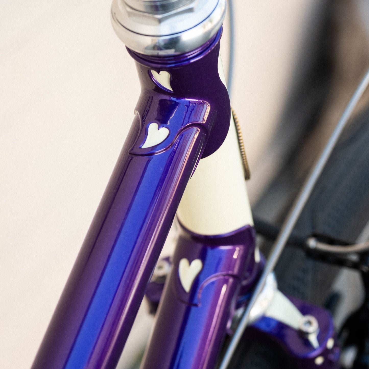 Platypus Frameset - Rivendell – Rivendell Bicycle Works