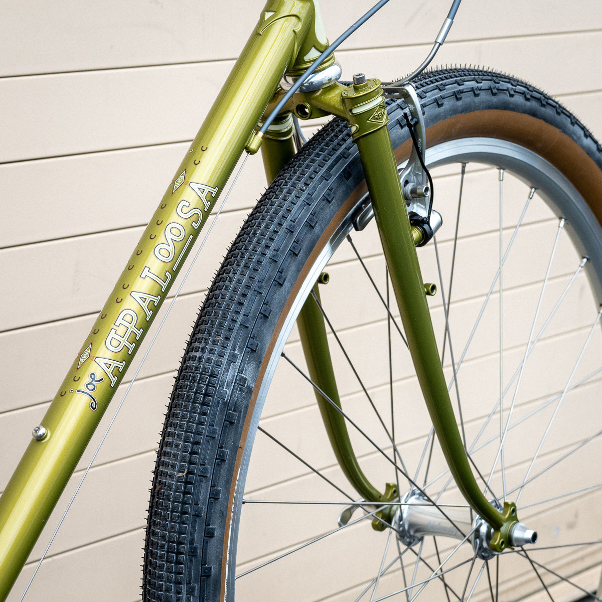Frame - Appaloosa – Rivendell Bicycle Works