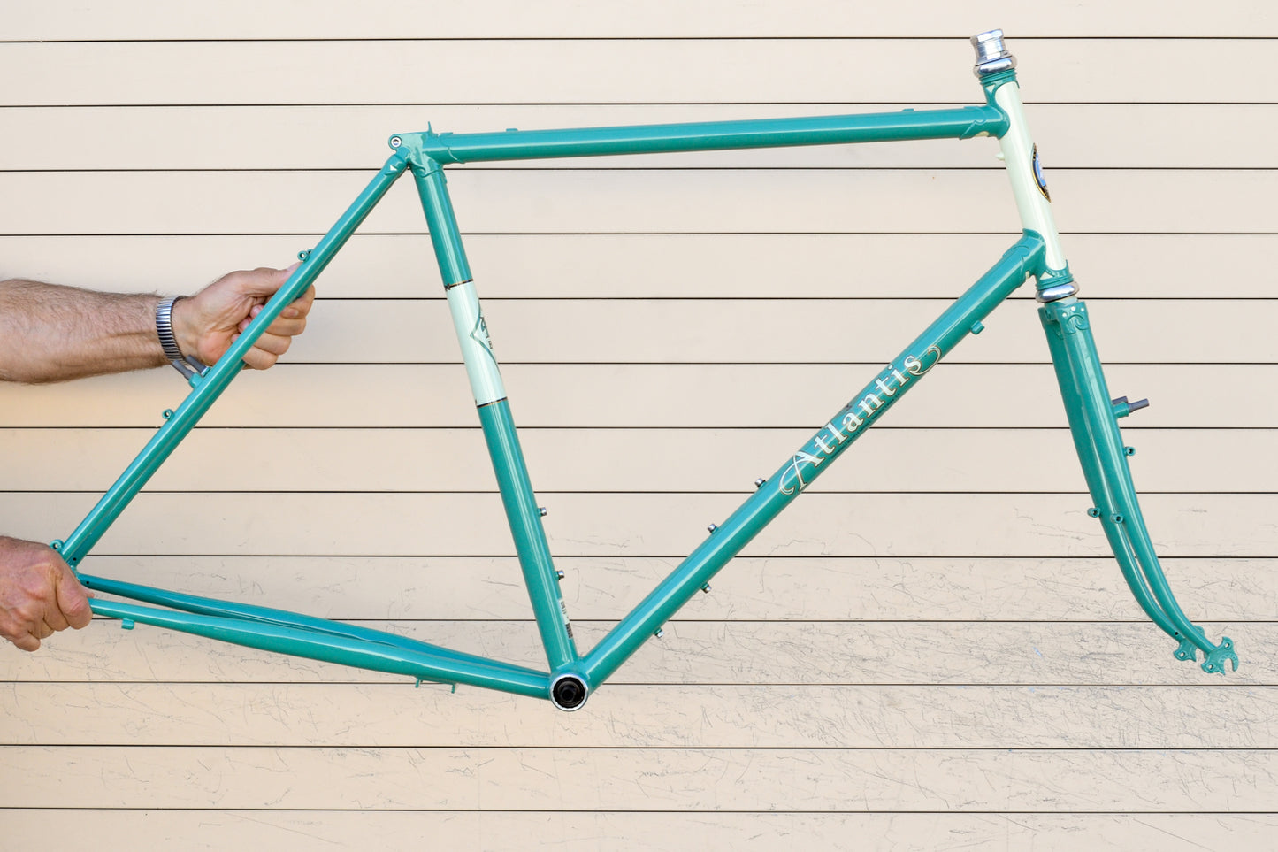 Web Special Frames and Platypus Completes