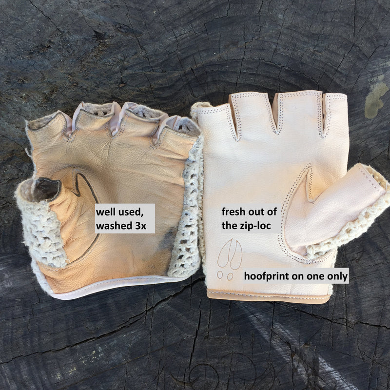 GOAT GLOVES, the G.O.A.T. gloves